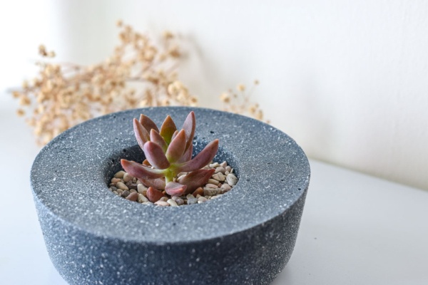 blue stone textured pot with red succulents