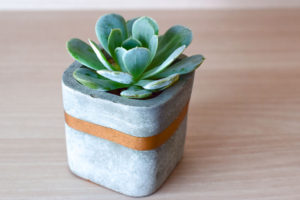 grey concrete pot with rose gold