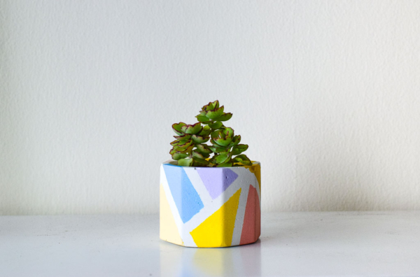 mini pot in pastel prints with succulents