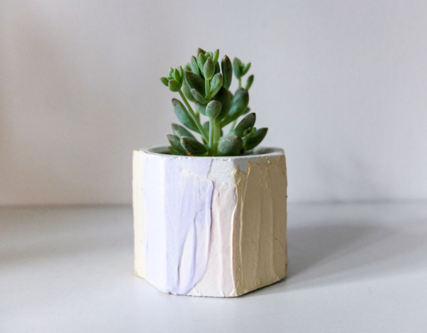 succulents in handmade cement planter with pastel colours