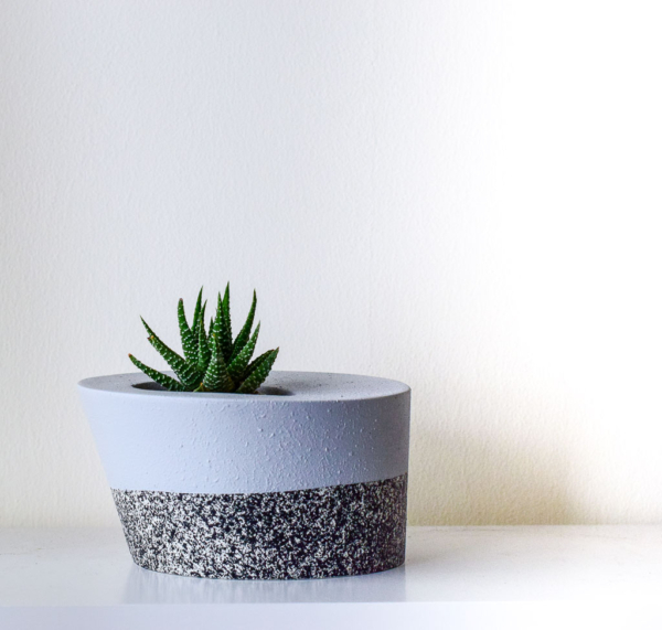 stone textured planter with succulent
