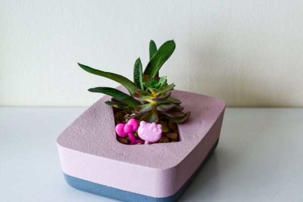 pink and grey rectangular pot with succulents
