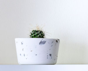 handmade cement planter with cactus