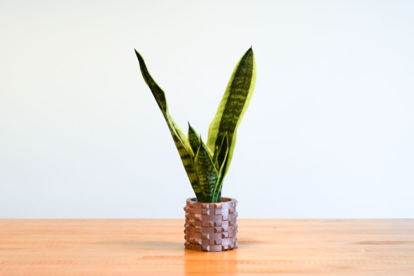 3d printed planter with snake plant