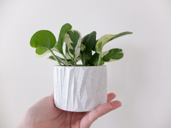 3d-printed white planter styled with pothos