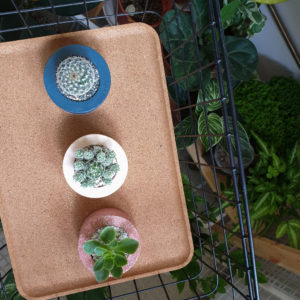 set of 3 small planters with succulents