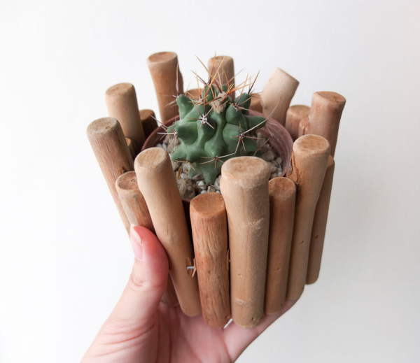 planter made with sticks of wood and paired with cactus