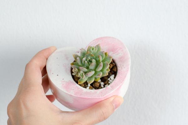 heart-shaped handmade planter with succulent