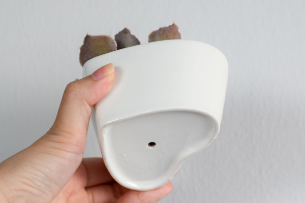 drainage hole of white heart-shaped planter with succulent