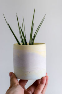 air plant in handmade cement planter with rainbow colours