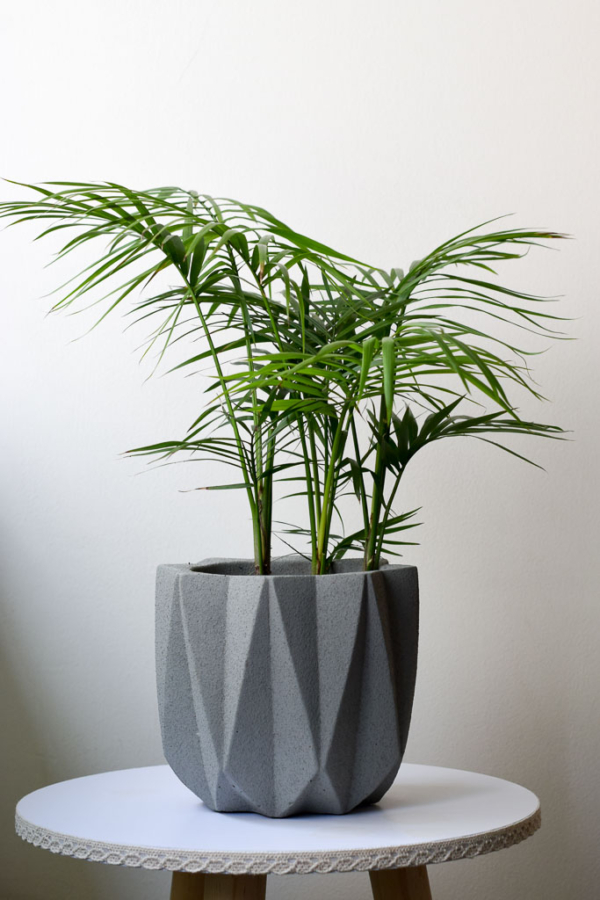 elegance brooklyn light grey java palm