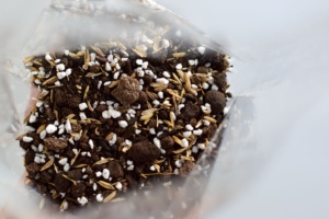potting mix general