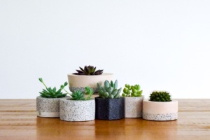 collection of handmade concrete planters