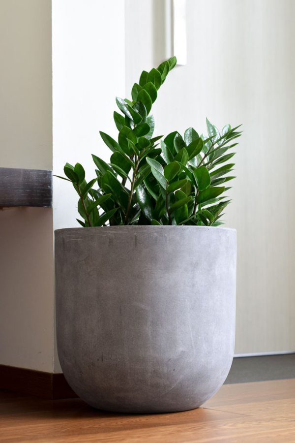 eddison planter grey styled with zz plant