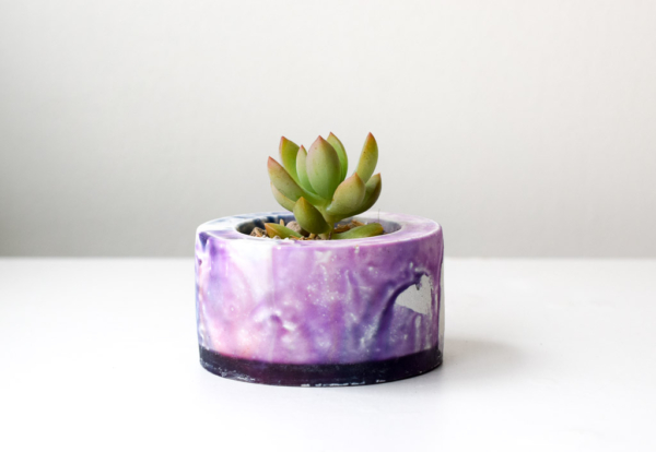 canopus handmade concrete and resin planter succulent side