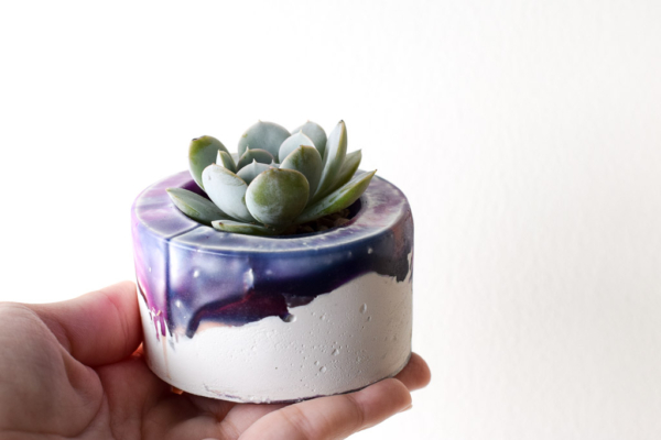 rigel handmade concrete and resin planter with succulent