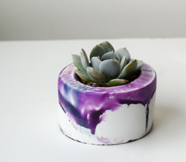 rigel handmade concrete and resin planter with succulent close up