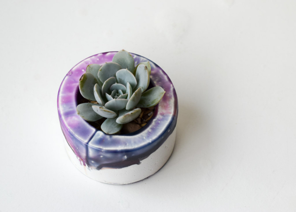 rigel handmade concrete and resin planter with succulent top