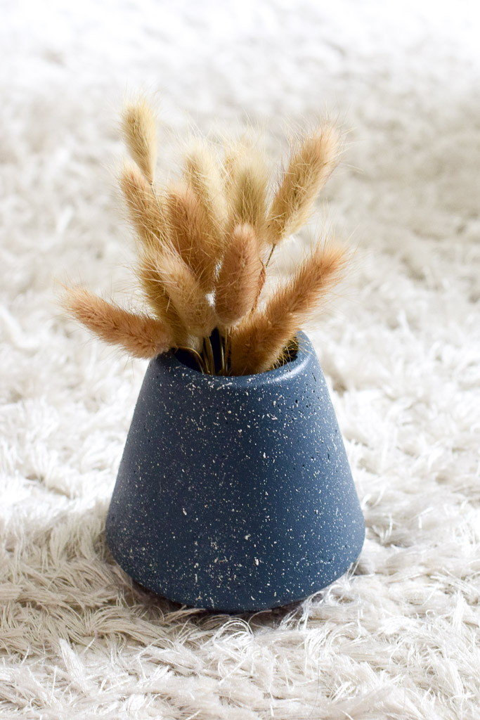 daniella planter dried cuts