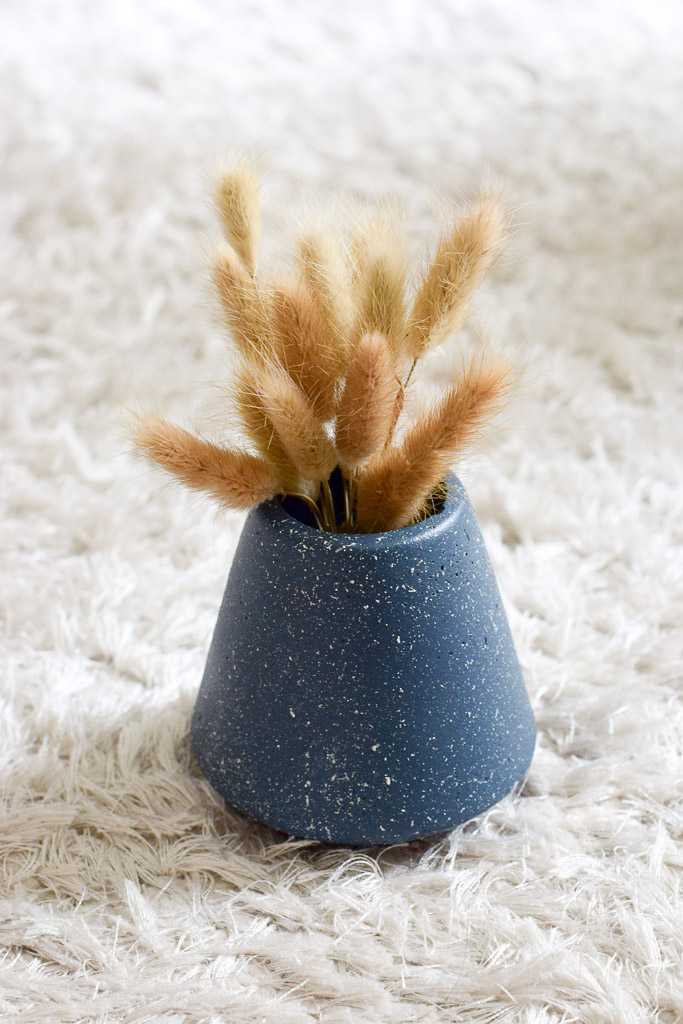 daniella planter dried cuts