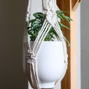 denver macrame plant hanger detail