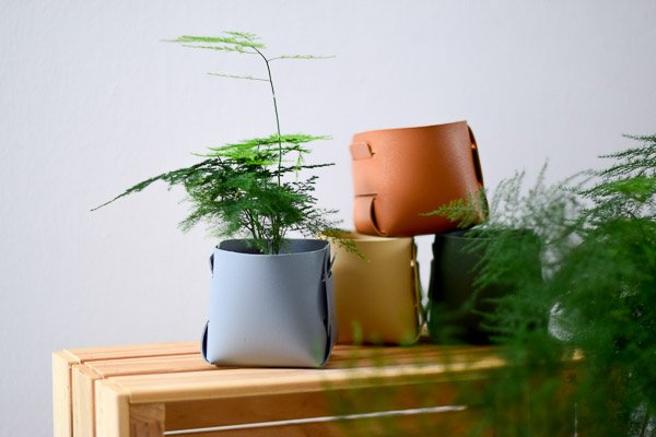 wrap planter grey asparagus fern nursery pot