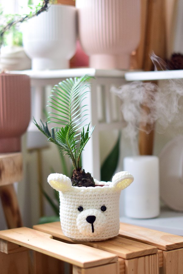 feather hat polar bear crochet planter sago palm