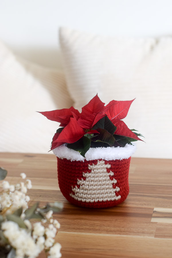 mini poinsettia styled in tree crochet planter red