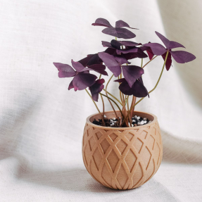 oxalis styled in cupped 3d printed planter square