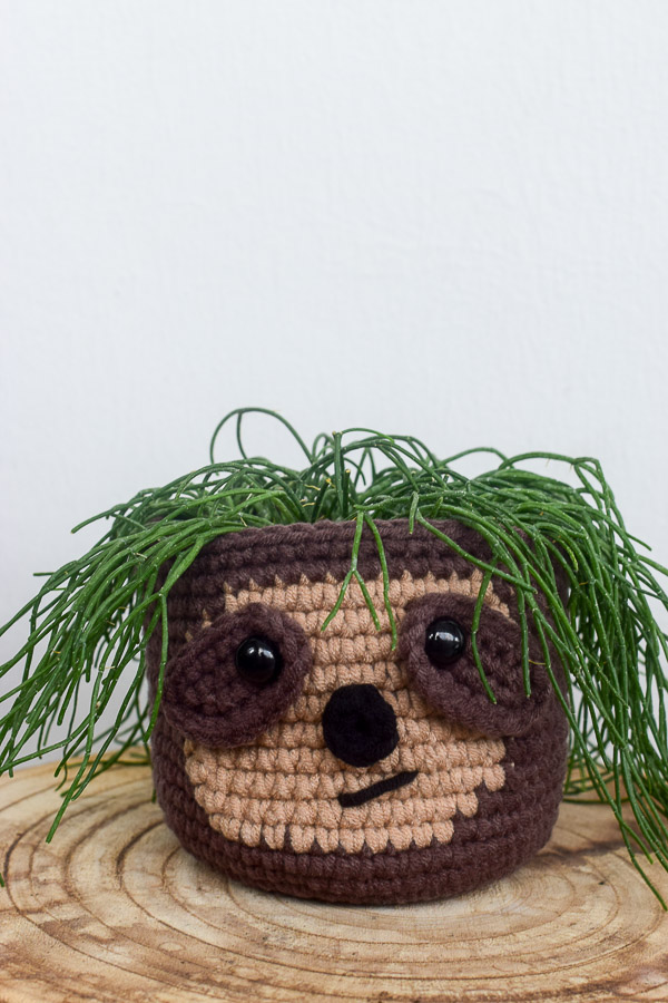 mistletoe cactus styled in mr sloth crochet planter close up
