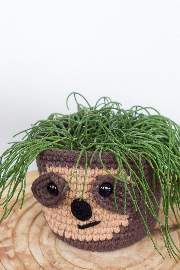mistletoe cactus styled in mr sloth crochet planter top