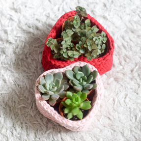 succulents styled in my sweetheart pink and red crochet planter square