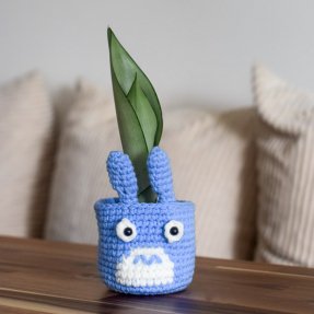sansevieria moonshine styled in chu crochet planter square