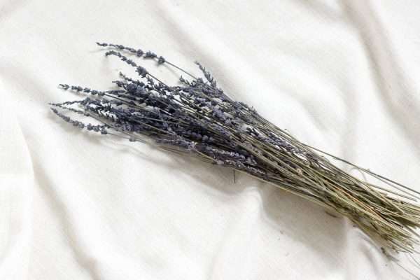 dried cuts lavender dark